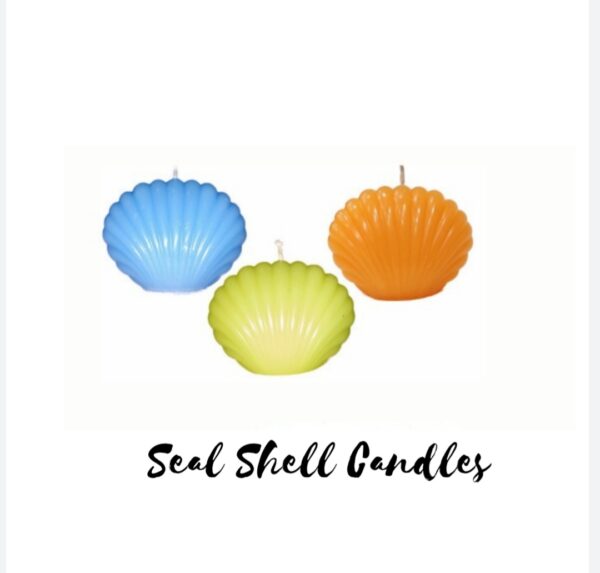 Sea Shell Candles